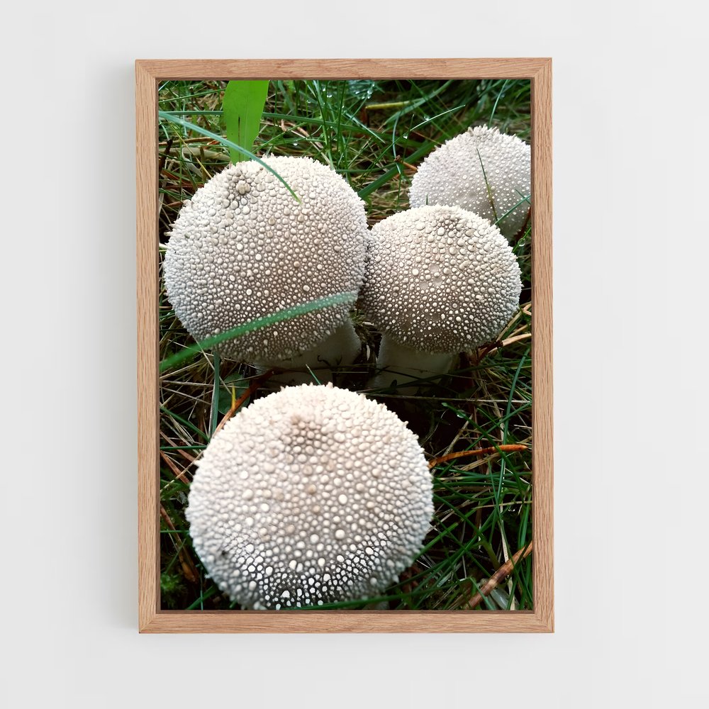 ap-puffball-2 cadre Bois clair
