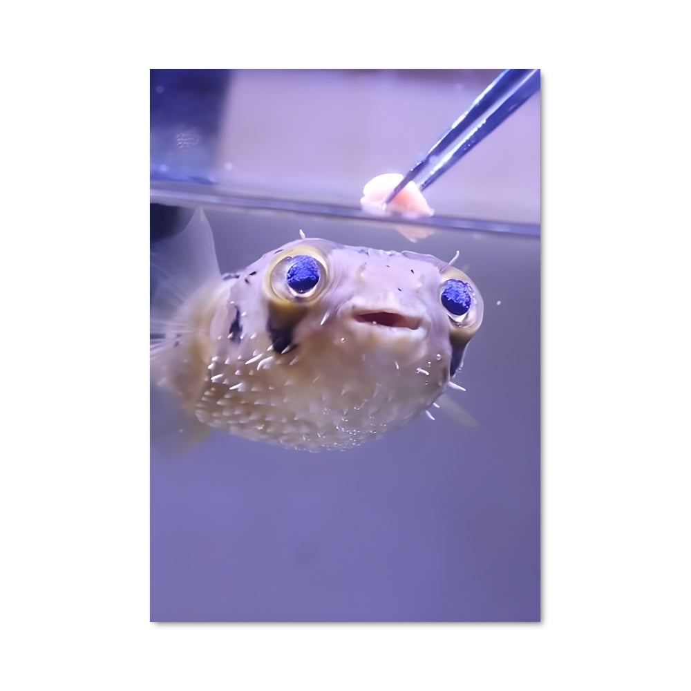 Poster Pêcheur de Sourires