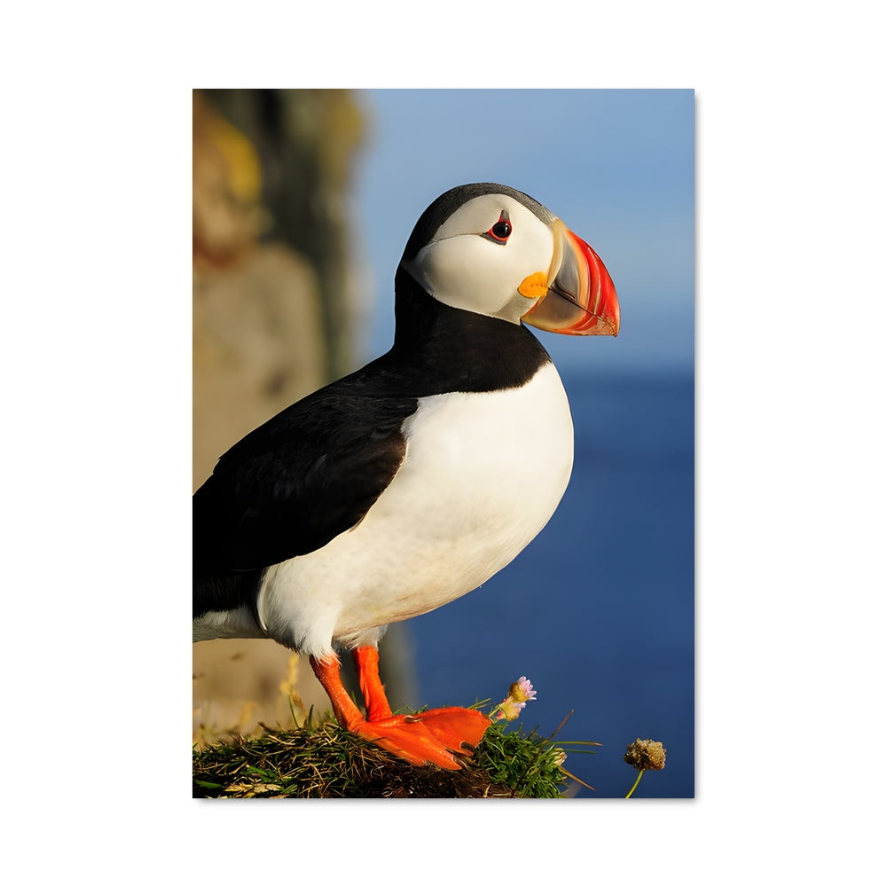 Poster Puffin Joyeux