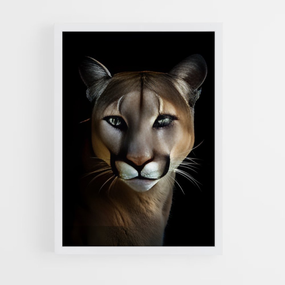 ap-puma-27 cadre Blanc