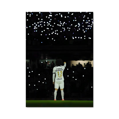 Poster L'Esprit des Pumas
