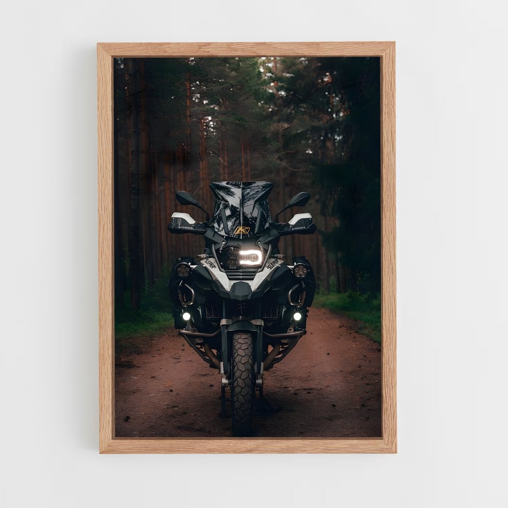 ap-r 1250 gs adventure-1 cadre Bois clair