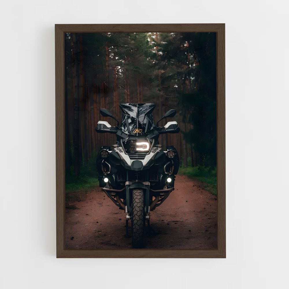 ap-r 1250 gs adventure-1 cadre Bois foncé