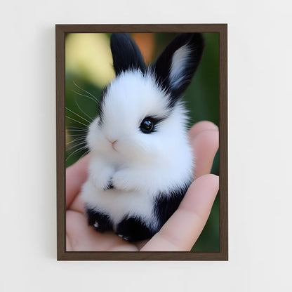 ap-rabbit-4 cadre Bois foncé