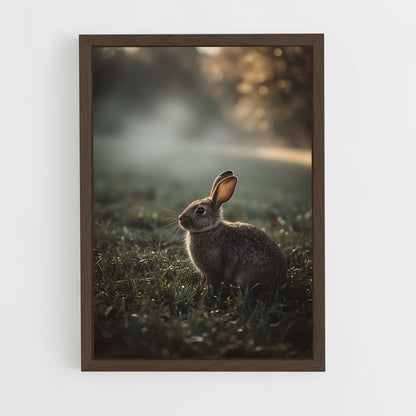 ap-rabbit-6 cadre Bois foncé