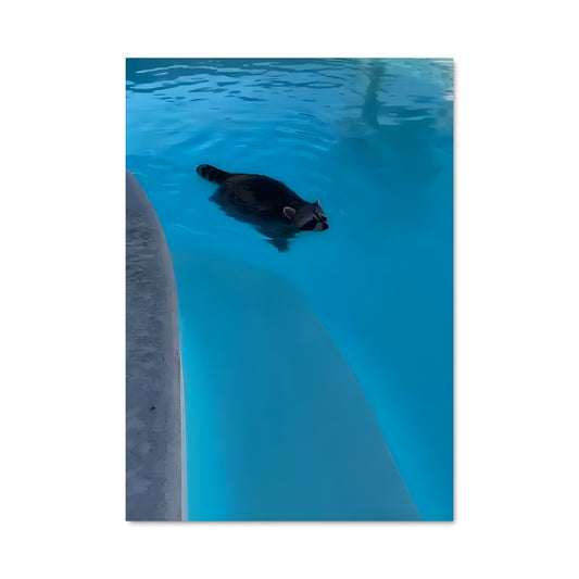 Poster Plouf et Bonheur