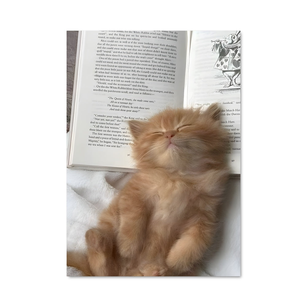 Poster Lecture Féline