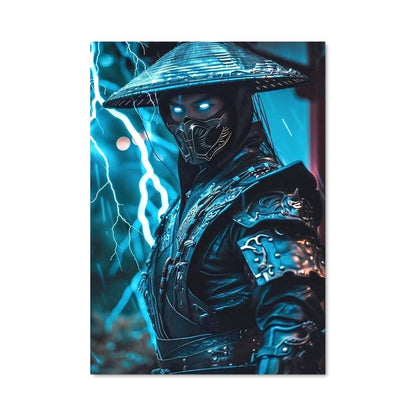 Poster Raiden mk 43029