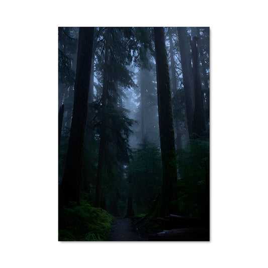 Poster Sentier Mystique