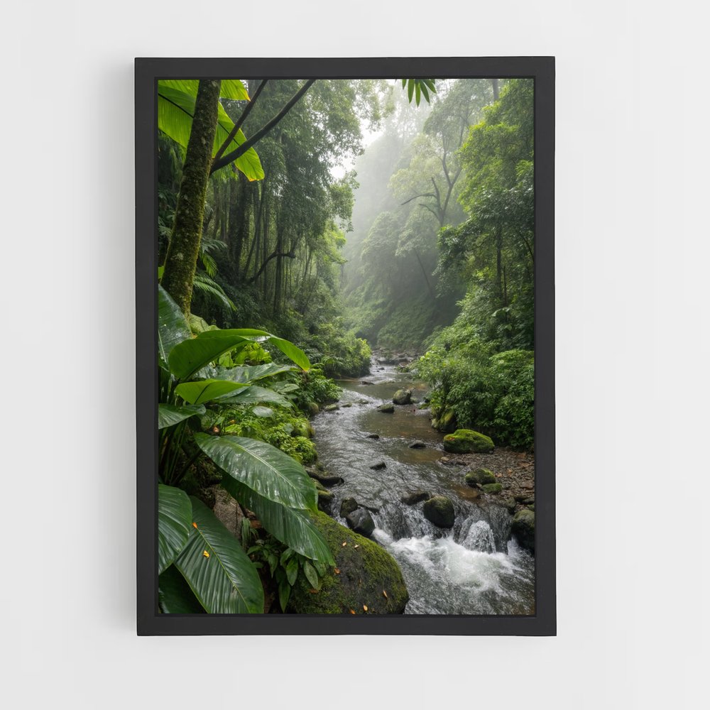 ap-rainforest-2 cadre Noir
