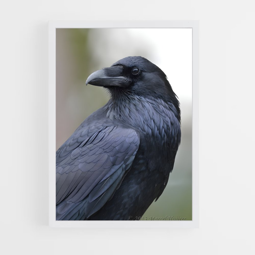 ap-raven-10 cadre Blanc