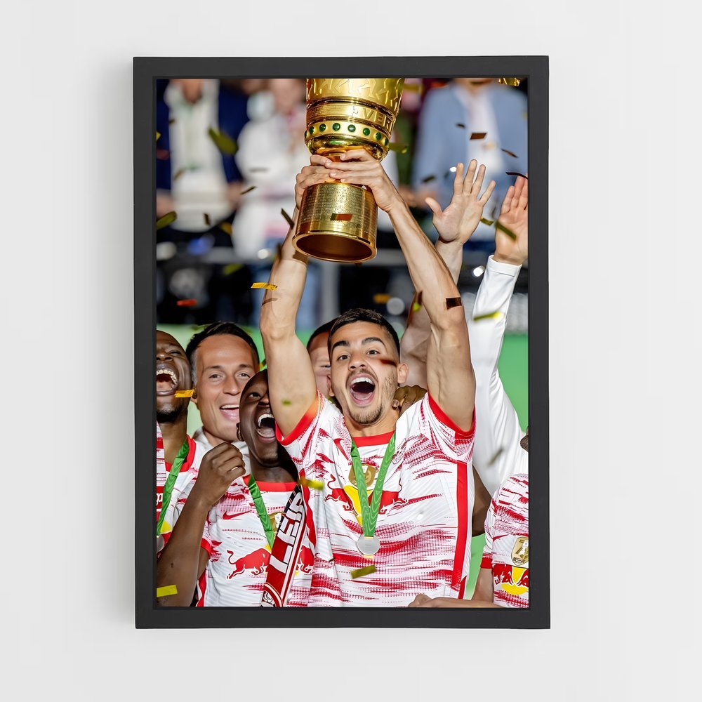 ap-rb leipzig-8 cadre Noir