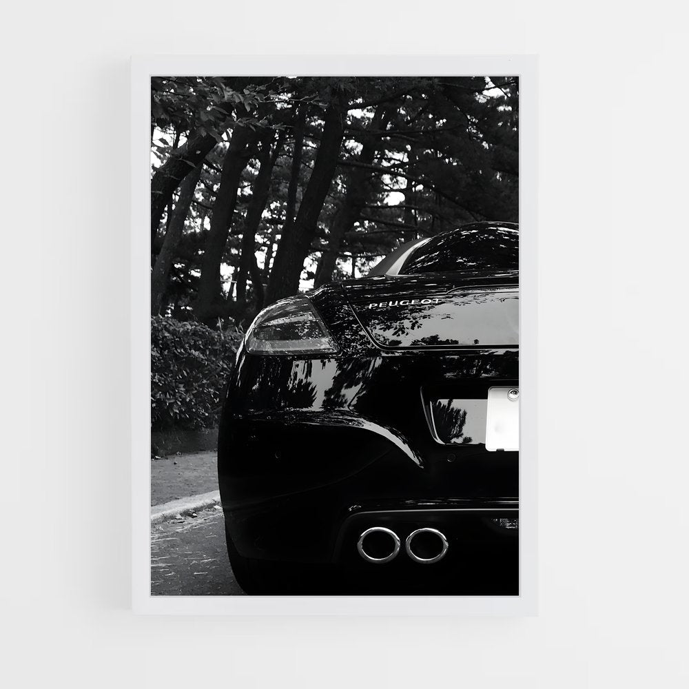 ap-rcz-1 cadre Blanc