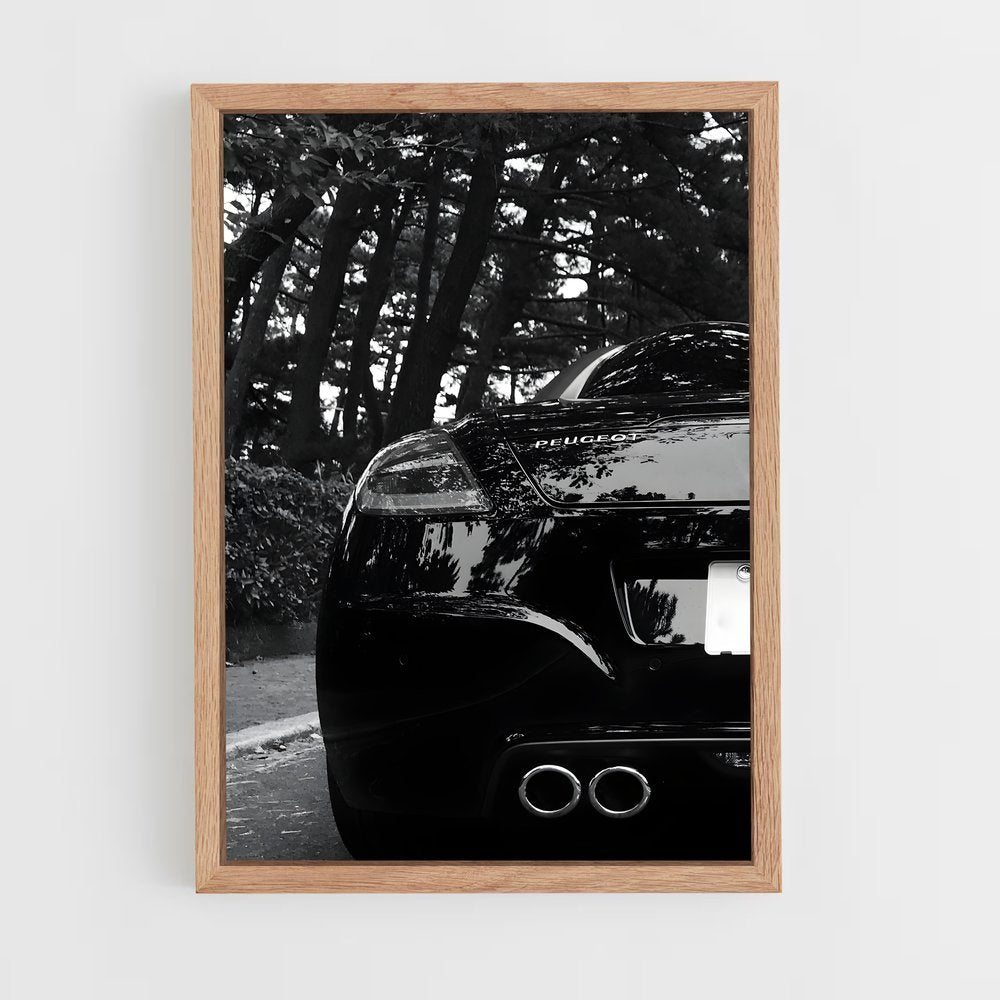 ap-rcz-1 cadre Bois clair