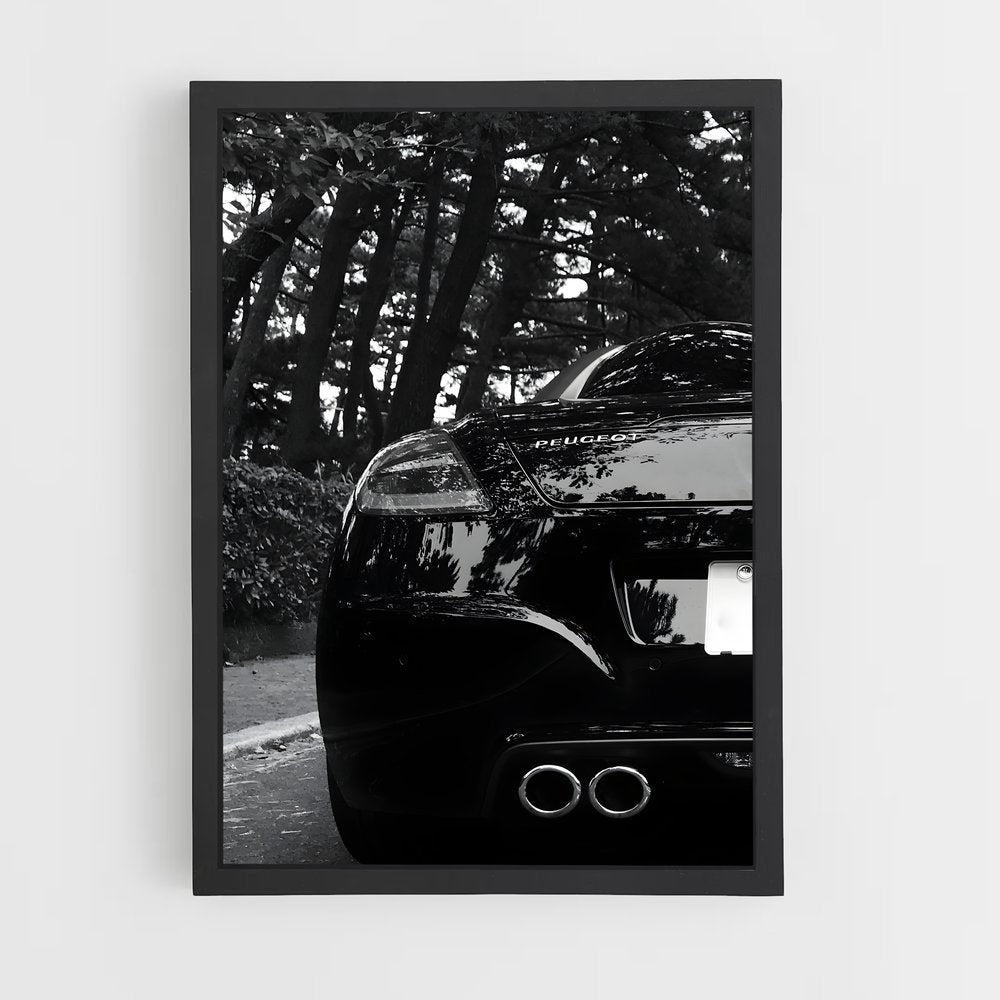 ap-rcz-1 cadre Noir
