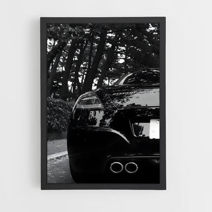 ap-rcz-1 cadre Noir