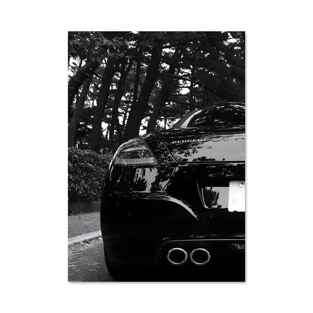 Poster Rcz 79142