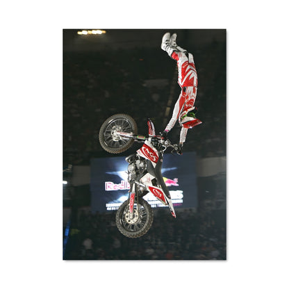 Poster Red bull x-fighters 63694