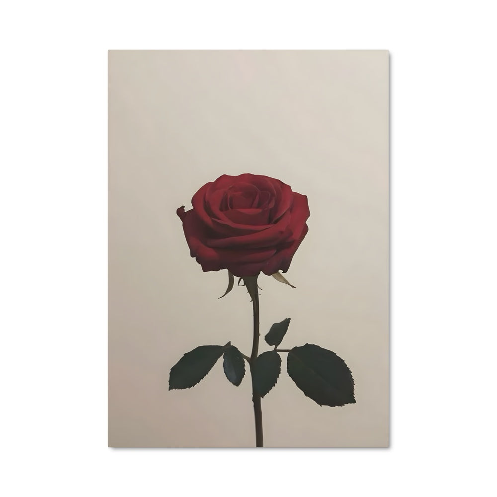 Poster Red rose 14777