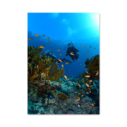 Poster Plongée sur le Récif