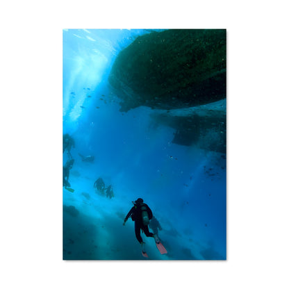 Poster Red sea diving 67996