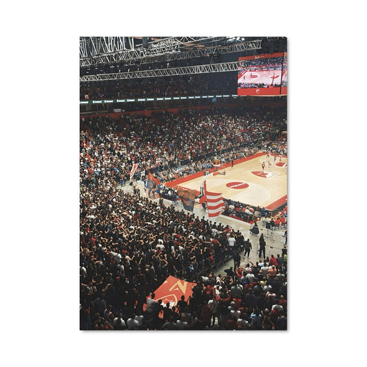 Poster Red star belgrade basketball 60249
