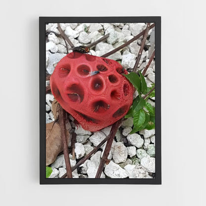 ap-red cage fungus-3 cadre Noir