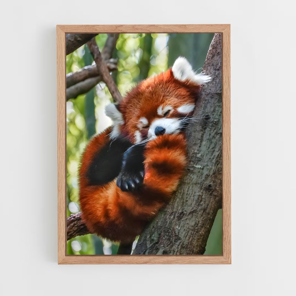 ap-red panda-3 cadre Bois clair