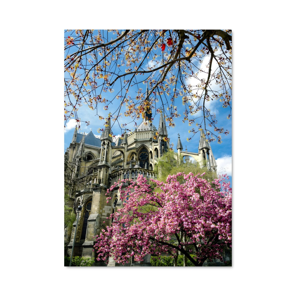 Poster Fleur de Cathédrale