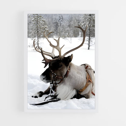 ap-reindeer-8 cadre Blanc