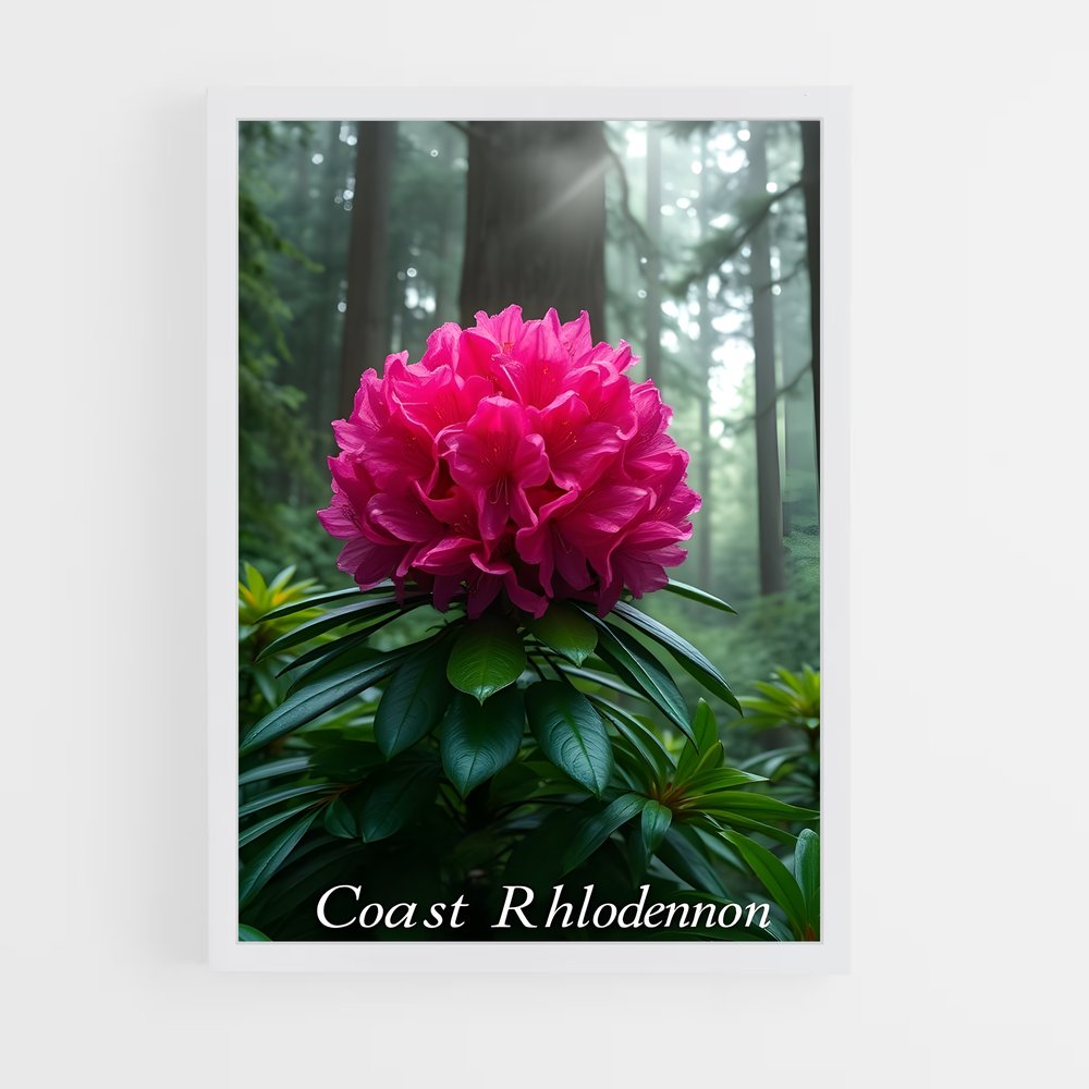 ap-rhododendron-2 cadre Blanc