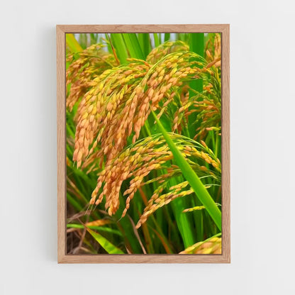 ap-rice-3 cadre Bois clair