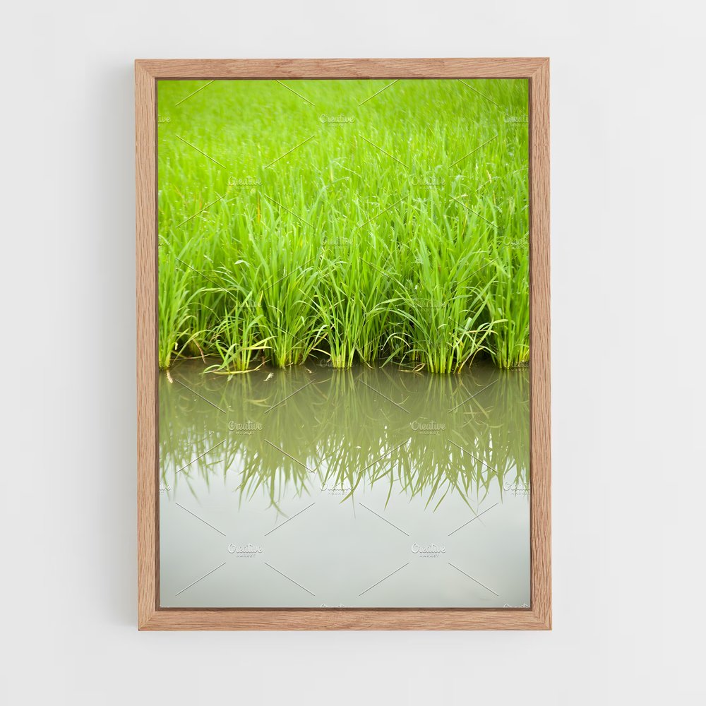 ap-rice-7 cadre Bois clair