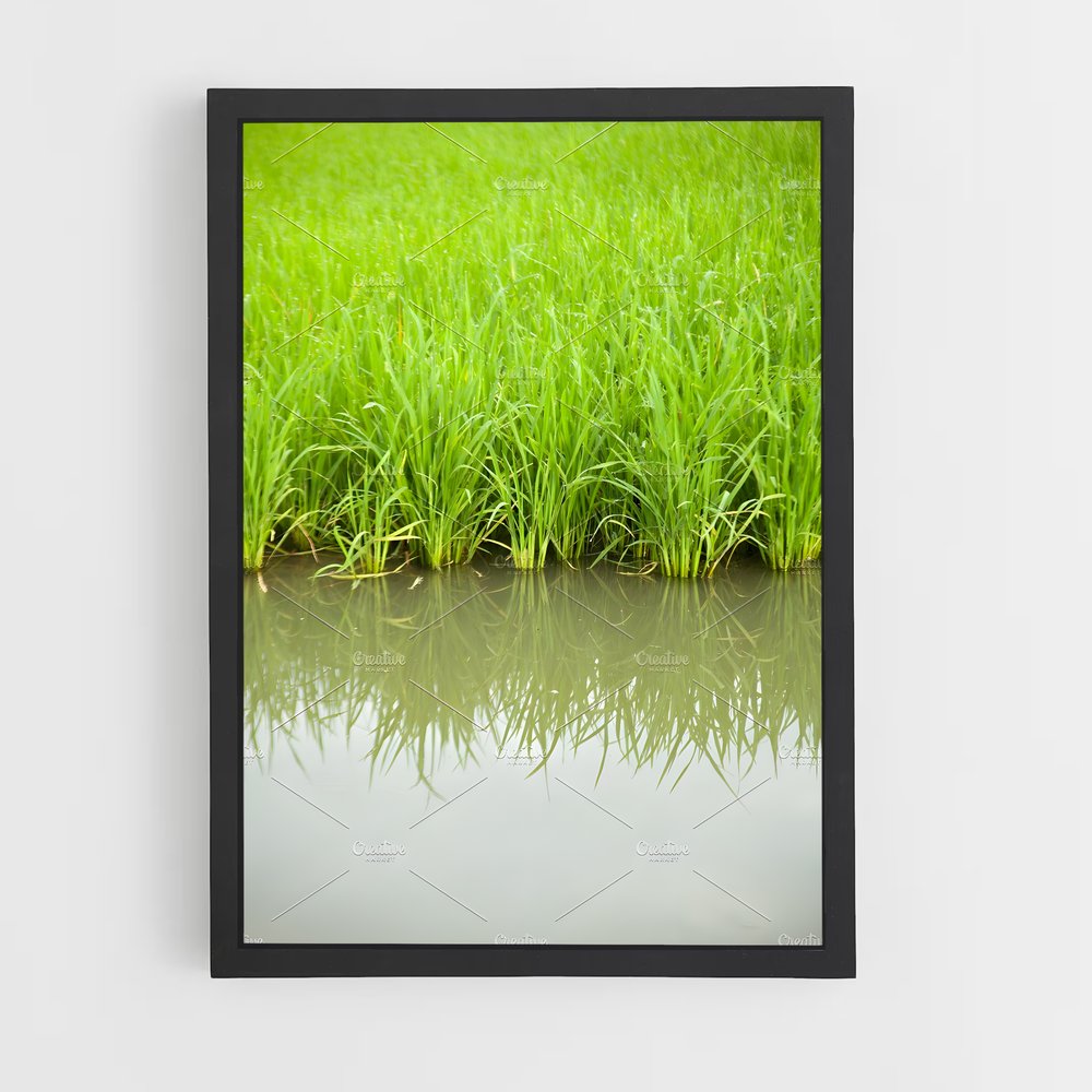 ap-rice-7 cadre Noir
