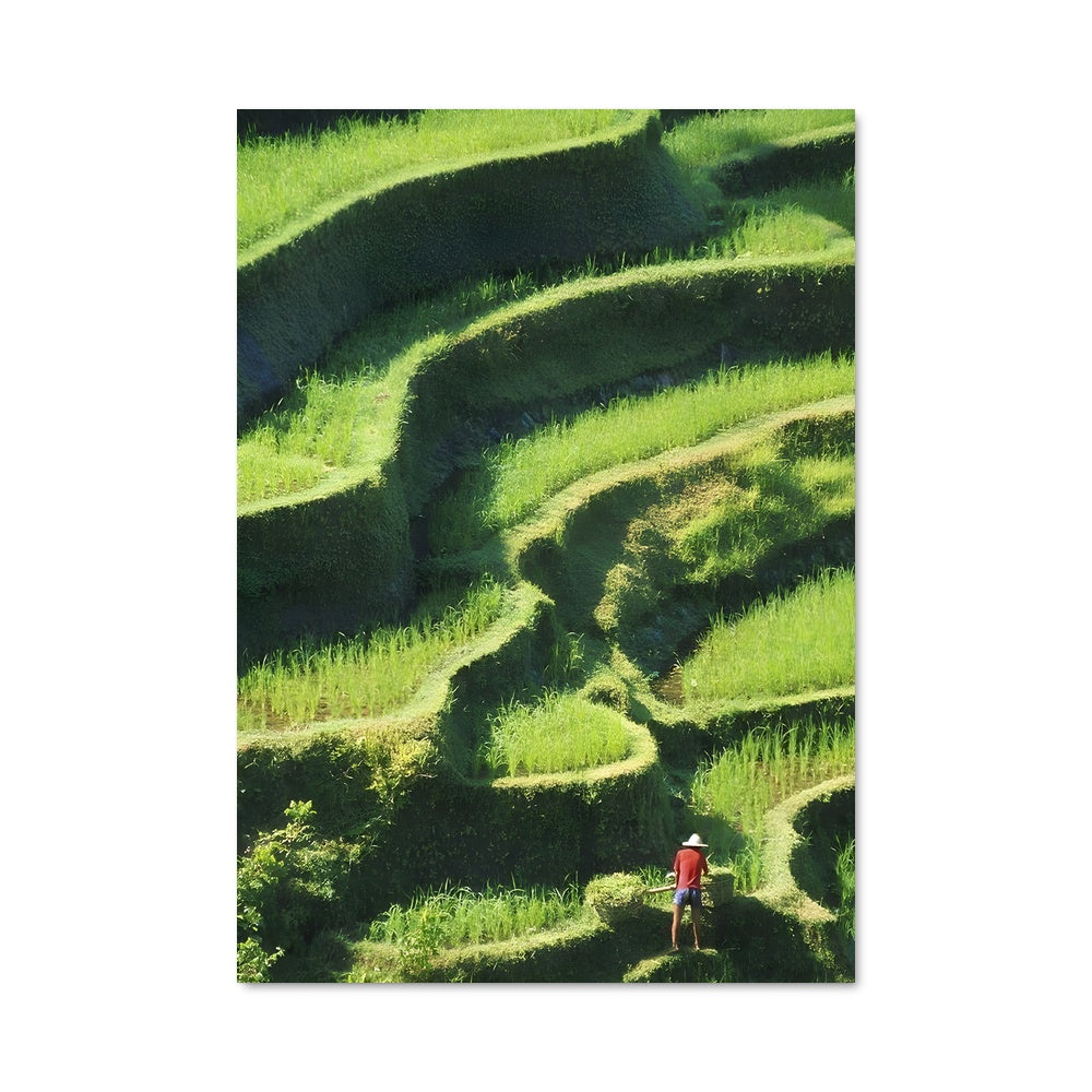 Poster Labyrinthe Champêtre