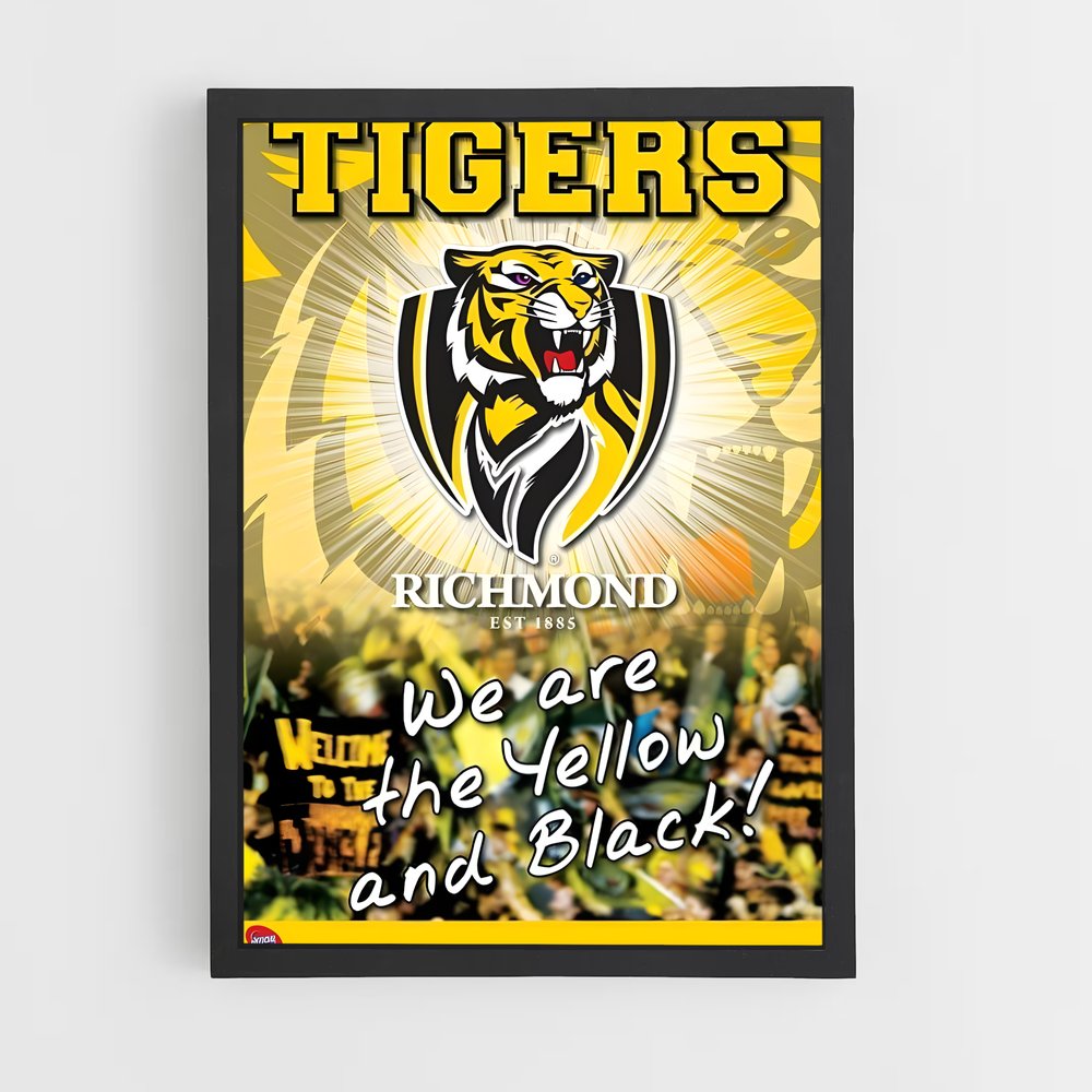 ap-richmond tigers-2 cadre Noir