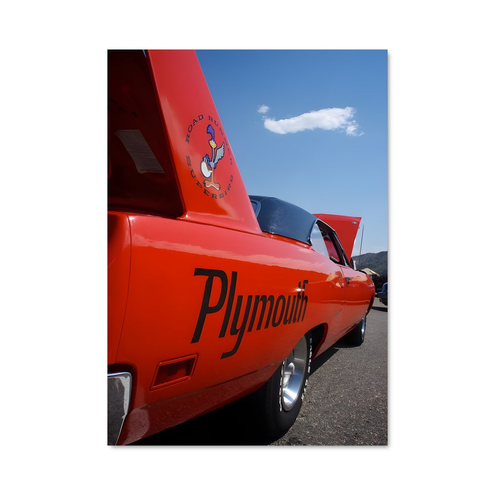 Poster Road runner 440 79165