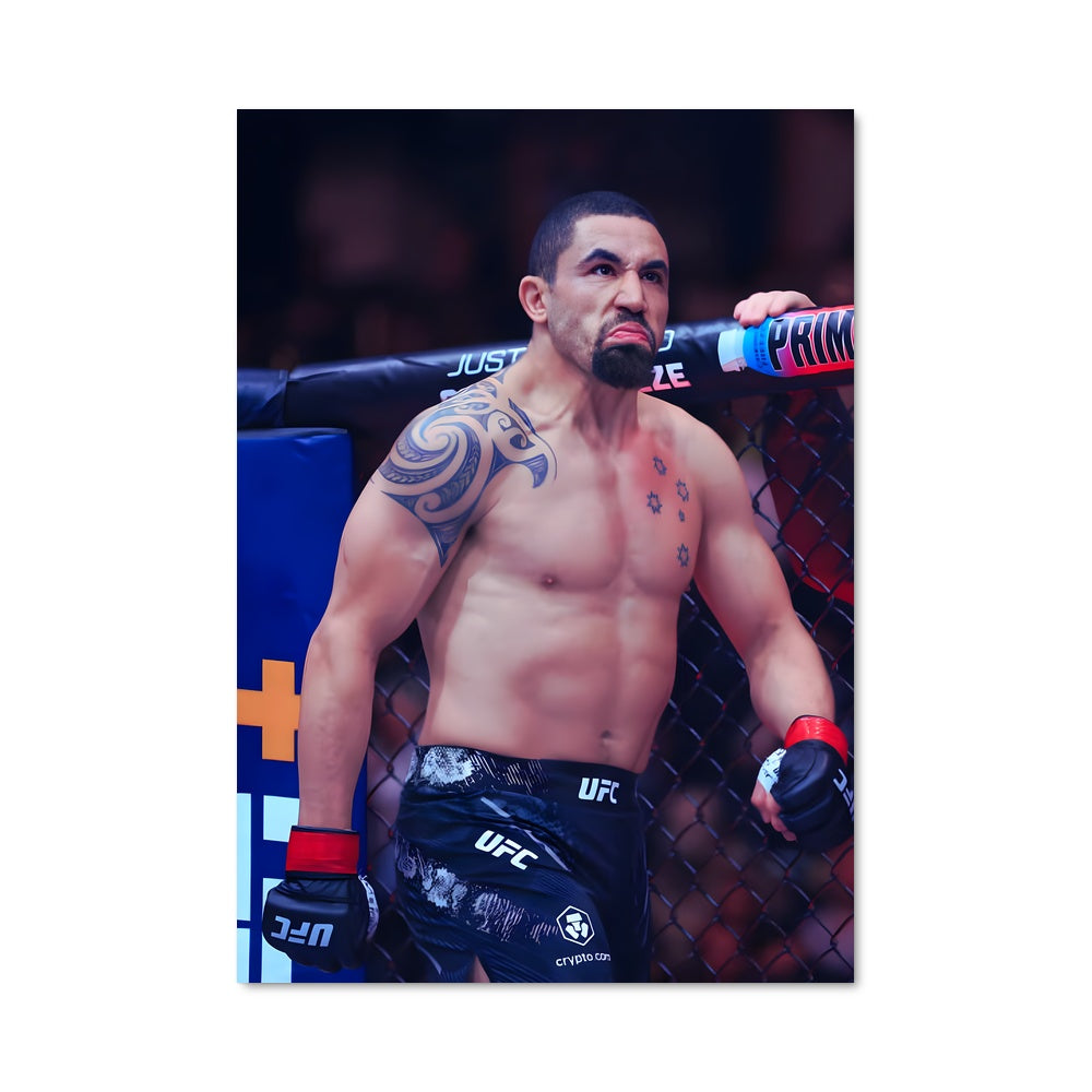 Poster The Octagon Champion