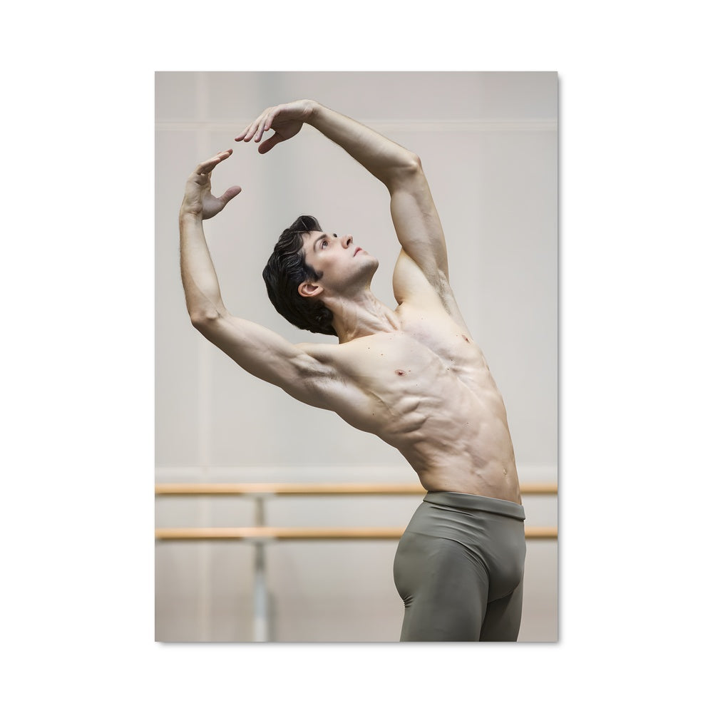 Poster Roberto bolle 65655