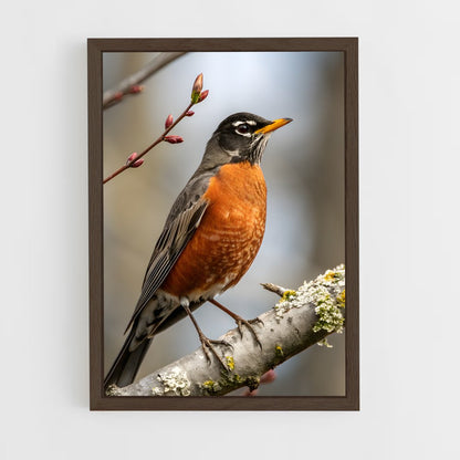 ap-robin-11 cadre Bois foncé