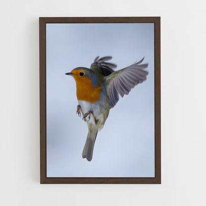 ap-robin-19 cadre Bois foncé