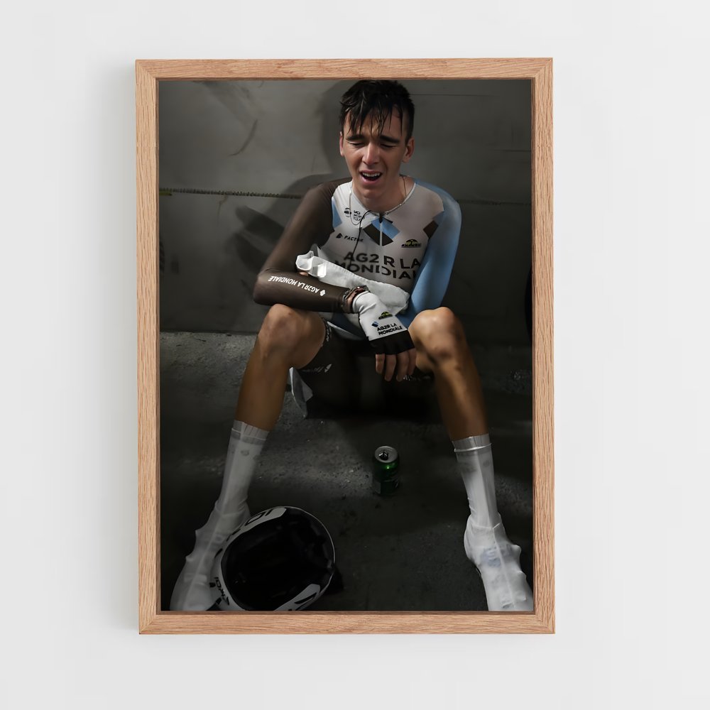 ap-romain bardet-6 cadre Bois clair