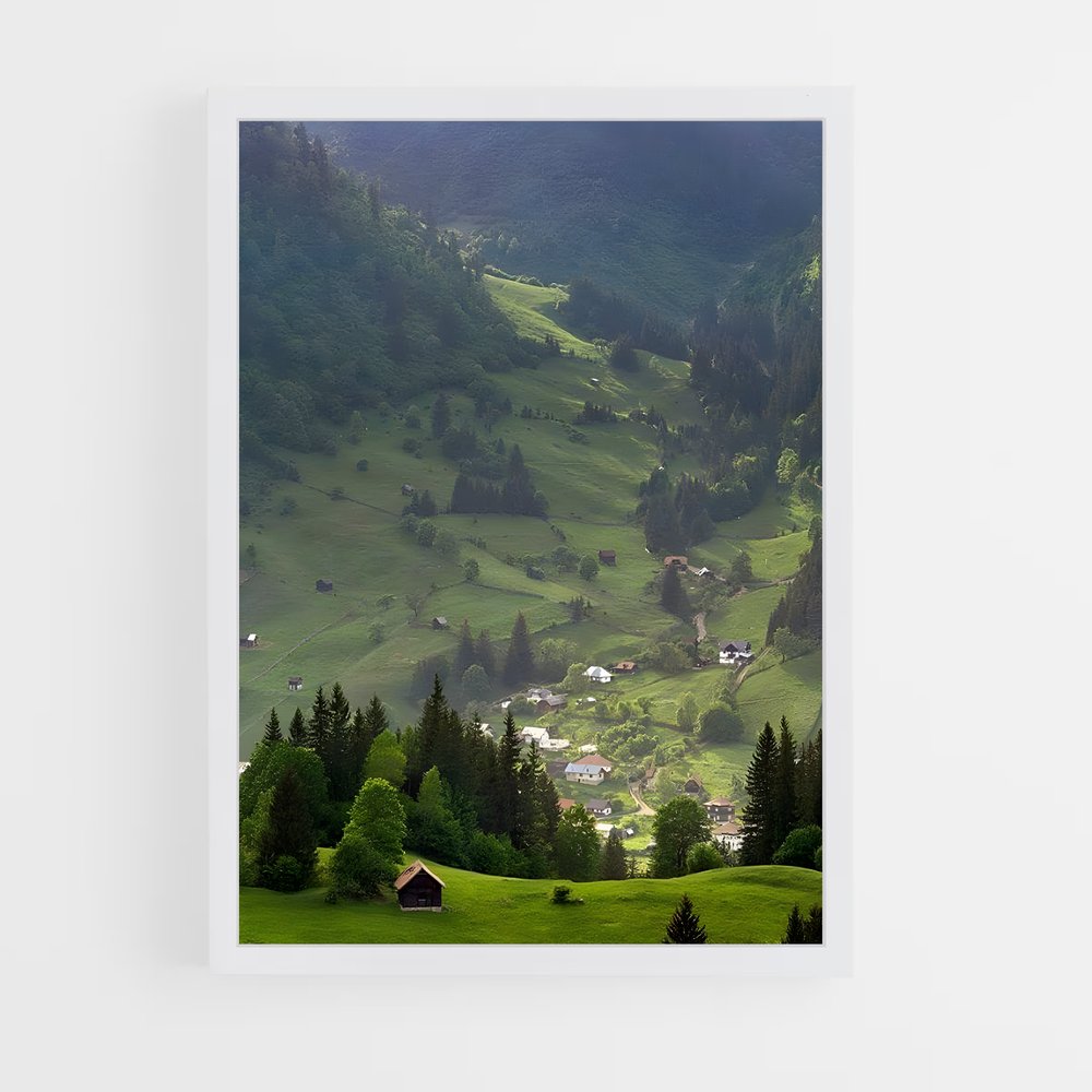ap-romania-3 cadre Blanc