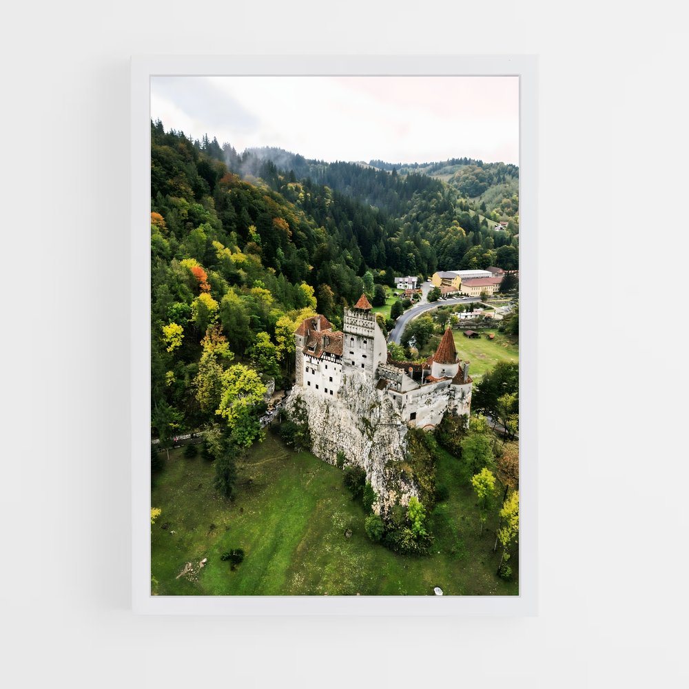 ap-romania-7 cadre Blanc