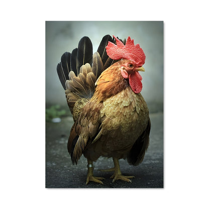 Poster Coq Vaillant