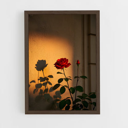 ap-rose-16 cadre Bois foncé