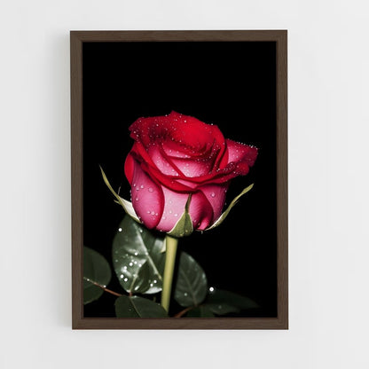 ap-rose-17 cadre Bois foncé