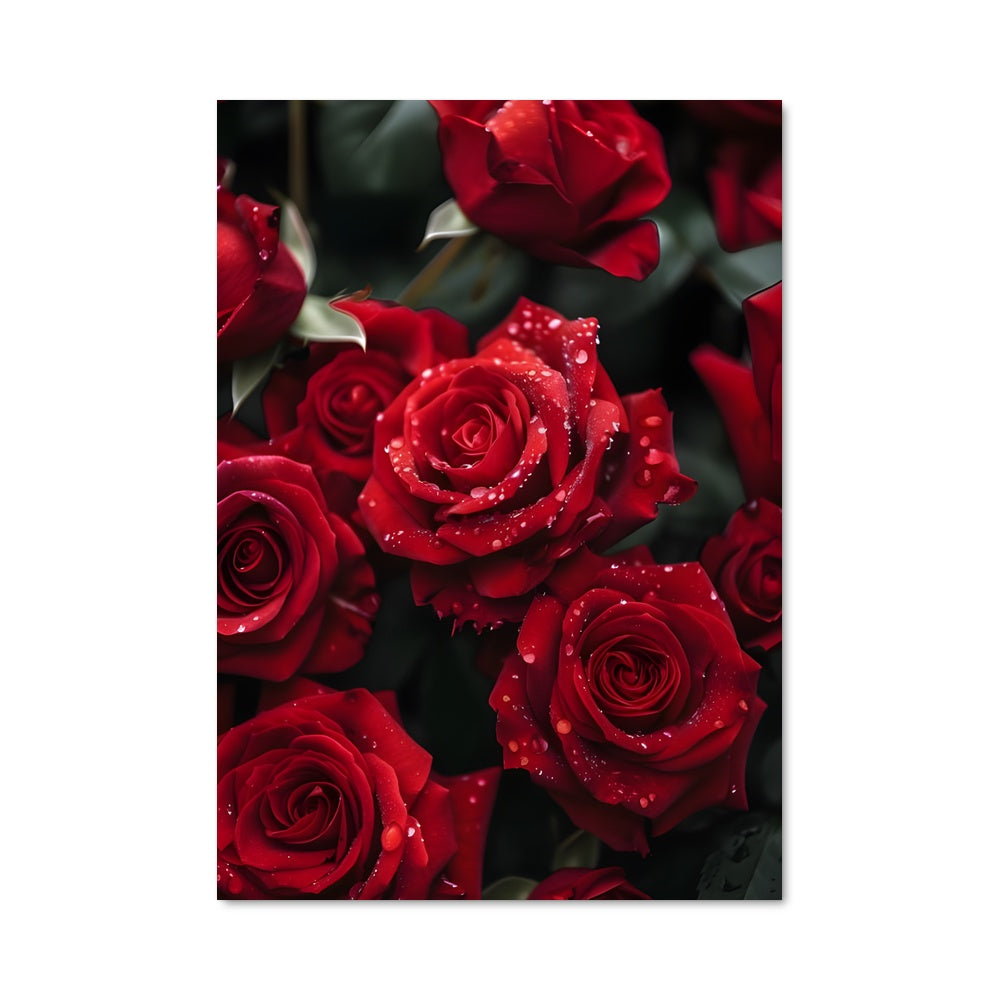 Poster Rosée d'Amour