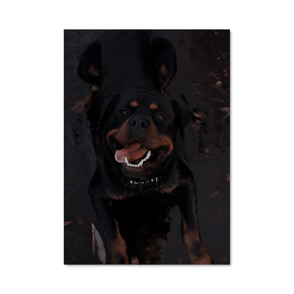 Poster Rottweiler au Sourire Éclatant