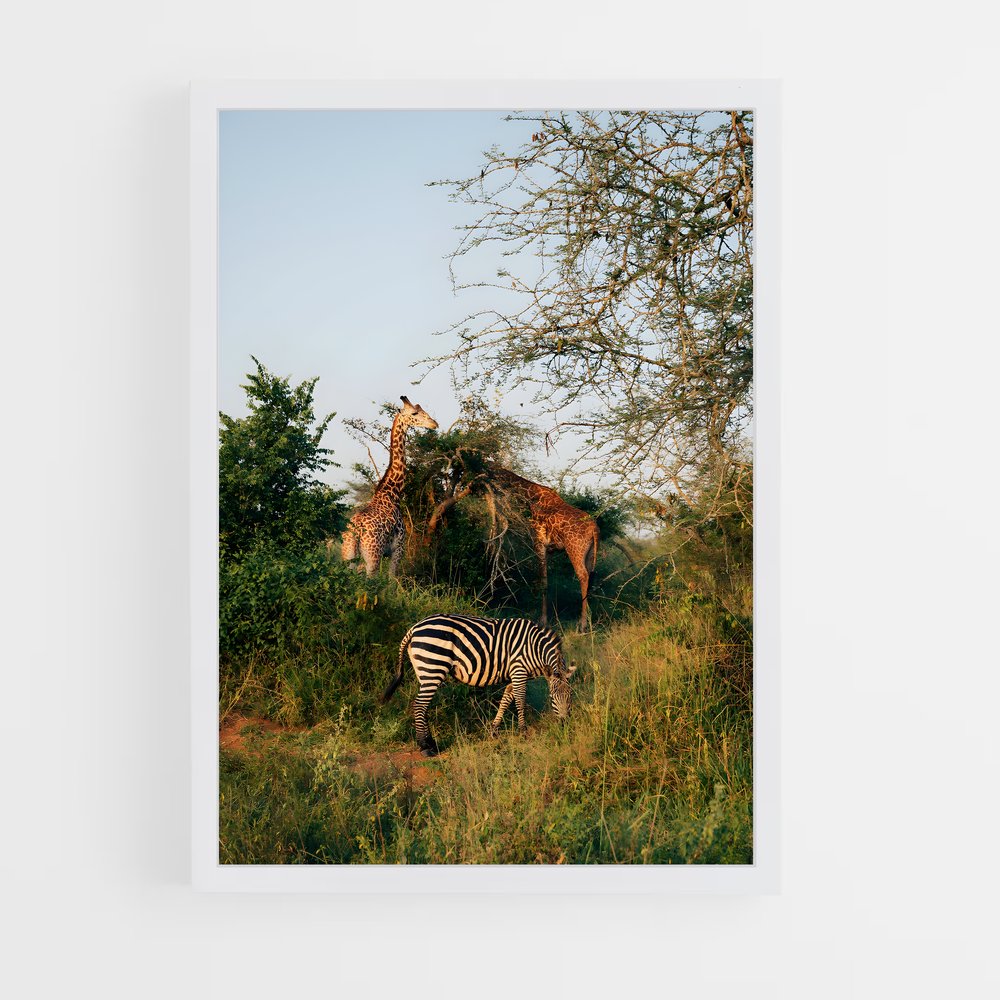 ap-rwanda-6 cadre Blanc